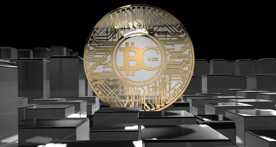 bitcoin onecoin litecoin kann ich in bitcoin cash investieren?